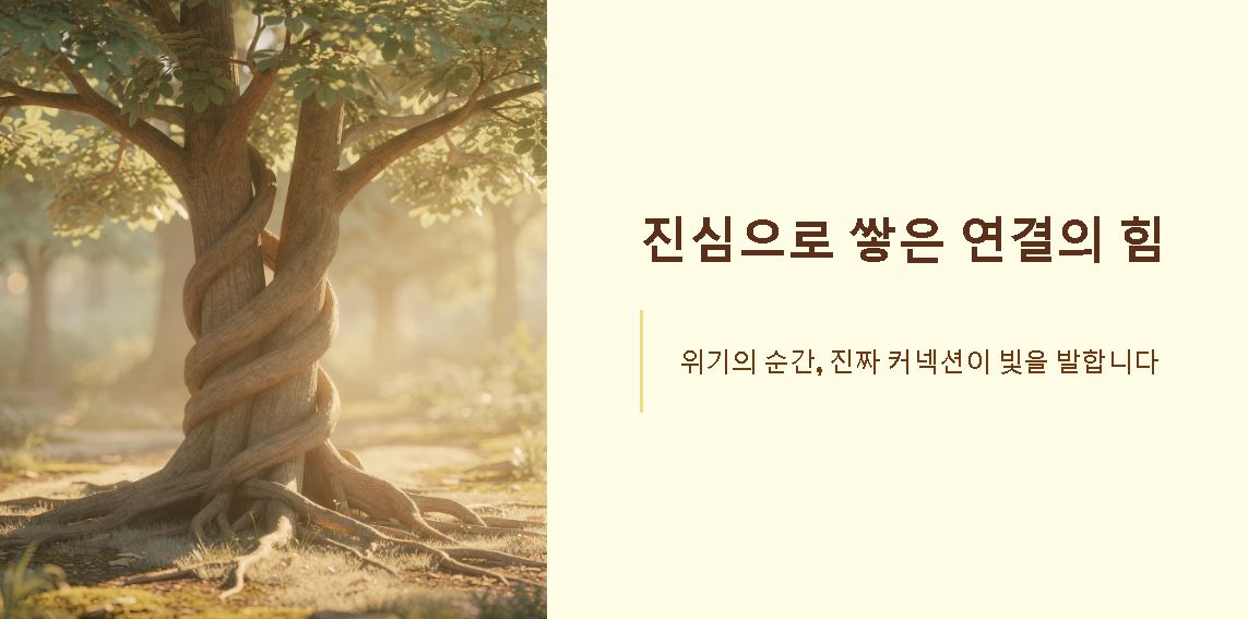 커넥션 뜻