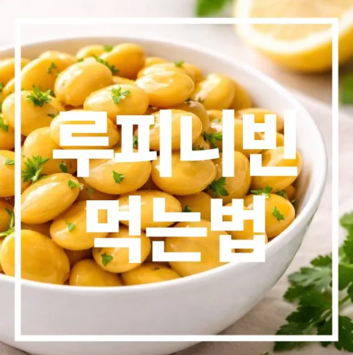 루피니빈 먹는법