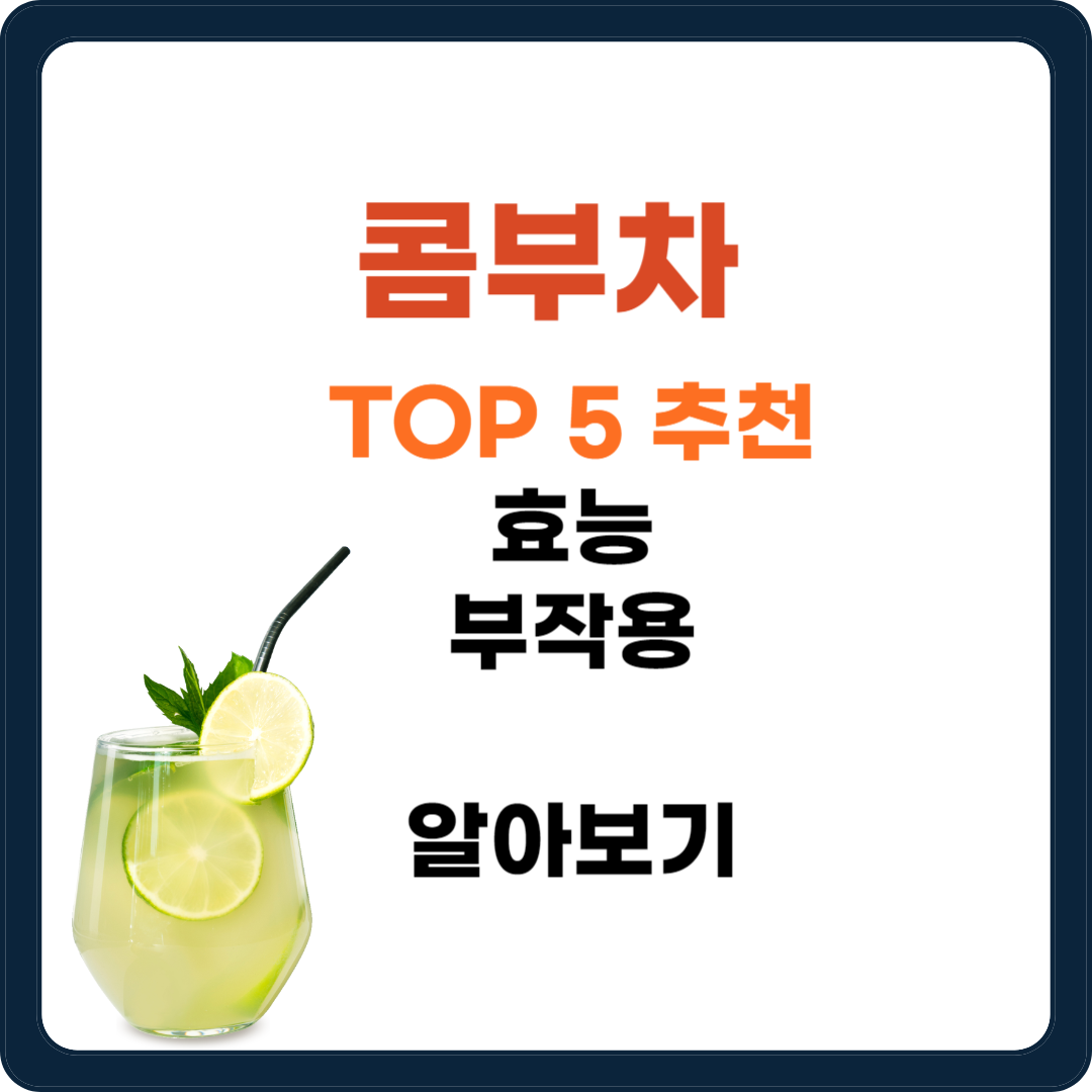 콤부차 효능&#44; 추천&#44; 다이어트