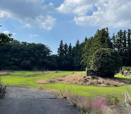 우리들의 블루스 촬영지