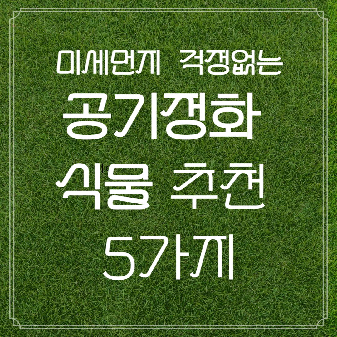 공기정화식물