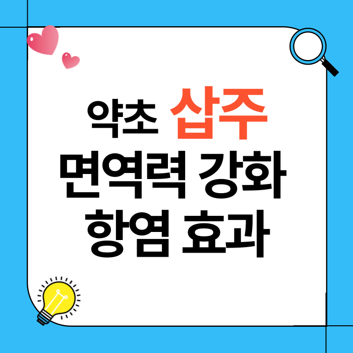 삽주 면역력 강화와 항염 효과