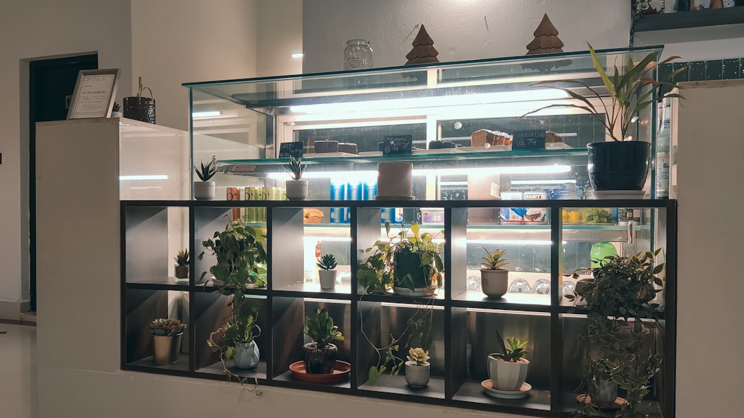 LG Display
