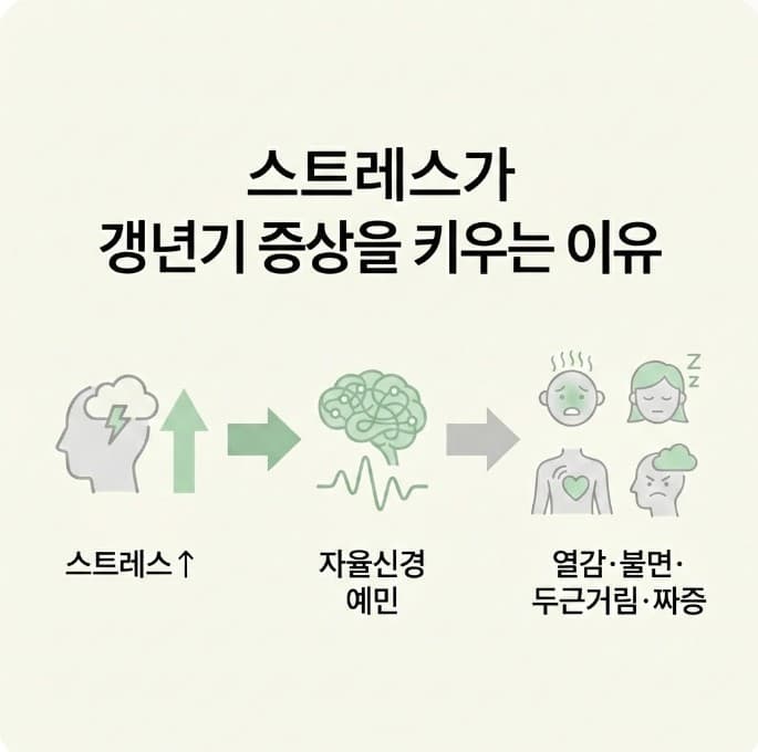 스트레스가 자율신경을 예민하게 만들어 열감&middot;불면&middot;두근거림&middot;짜증 같은 갱년기 증상을 키운다는 흐름 인포그래픽