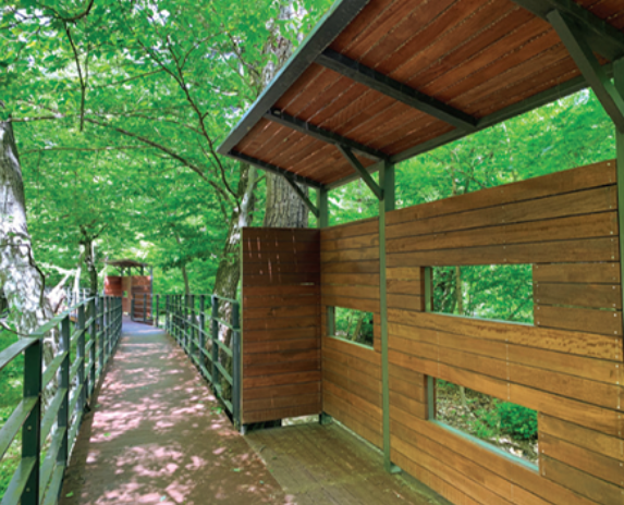 광릉숲길 주요 코스