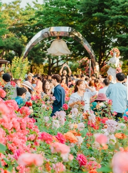 서울장미축제-장미동산