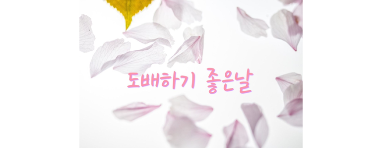 울산 중구 도배공사