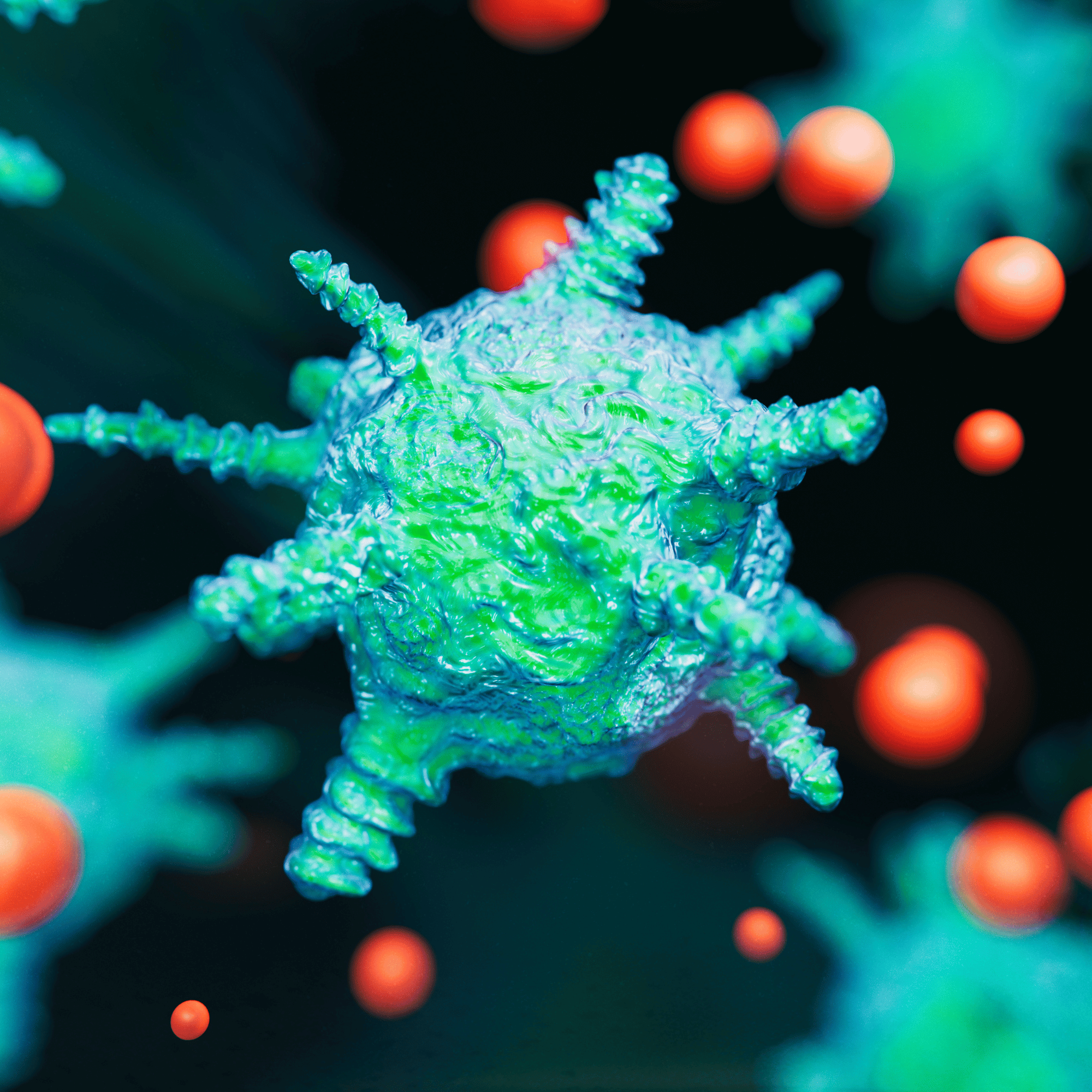 노로바이러스 증상