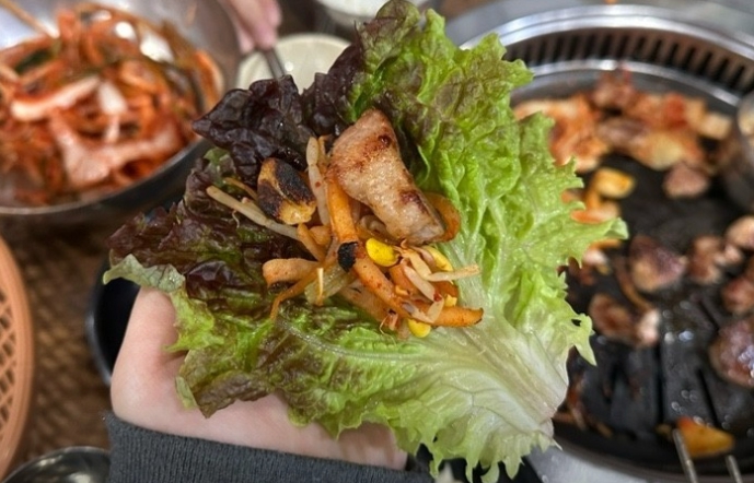 태양생고기