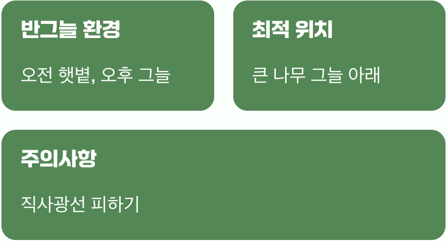 비결 1. 숲속 환경, 그대로 옮겨오기