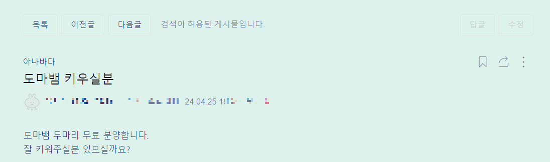 도마뱀 무료 분양