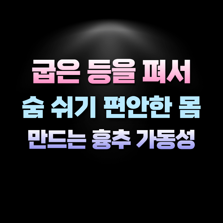굽은등을펴서숨쉬기편안한몸만드는흉추가동성