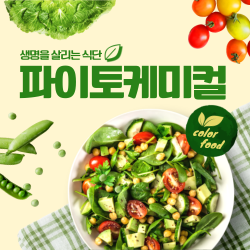 파이토케미컬 생명을 살리는 식단