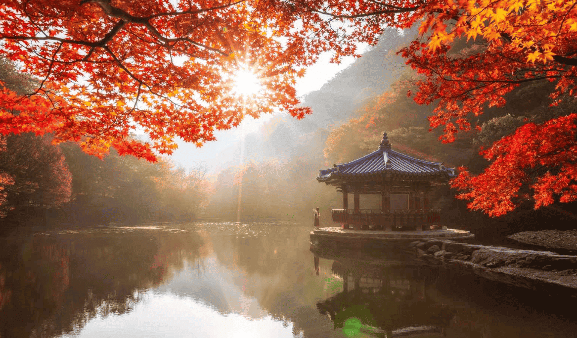 내장산 우화정