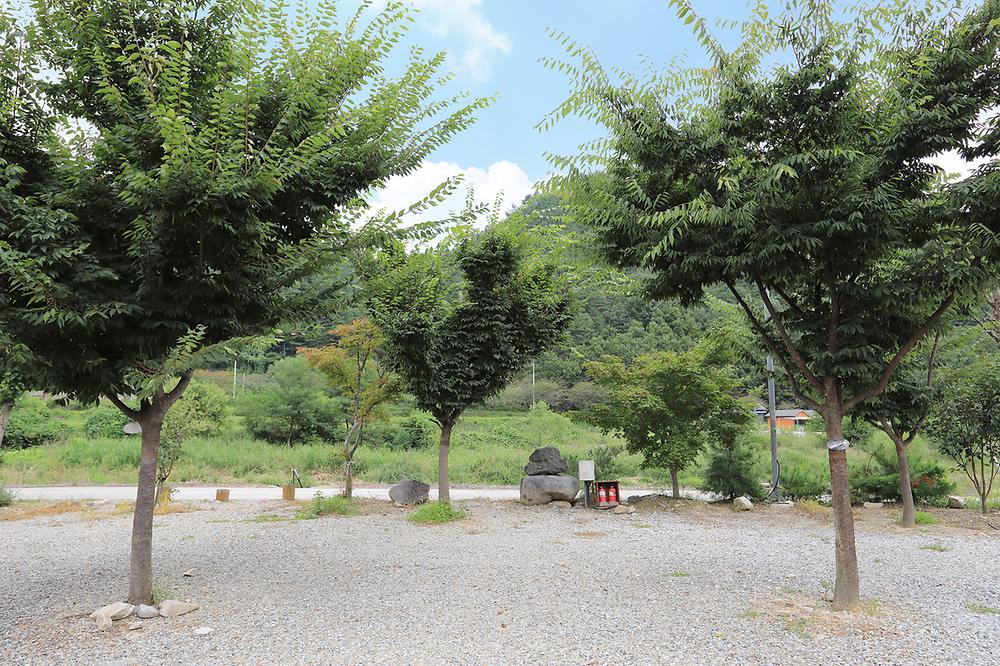 경북 성주자연오토캠핑장 소개