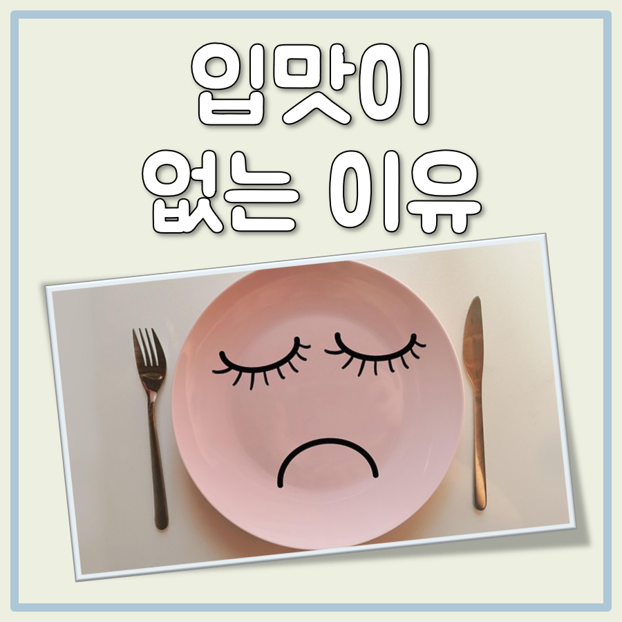 입맛이 없는 이유 대표 이미지