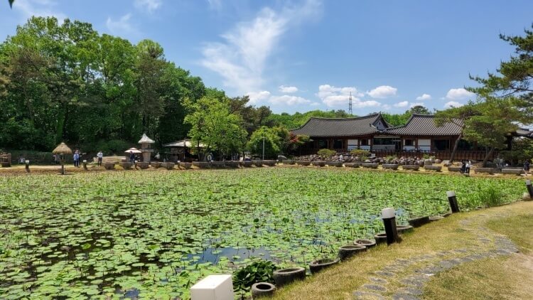 한양 파인 CC 맛집