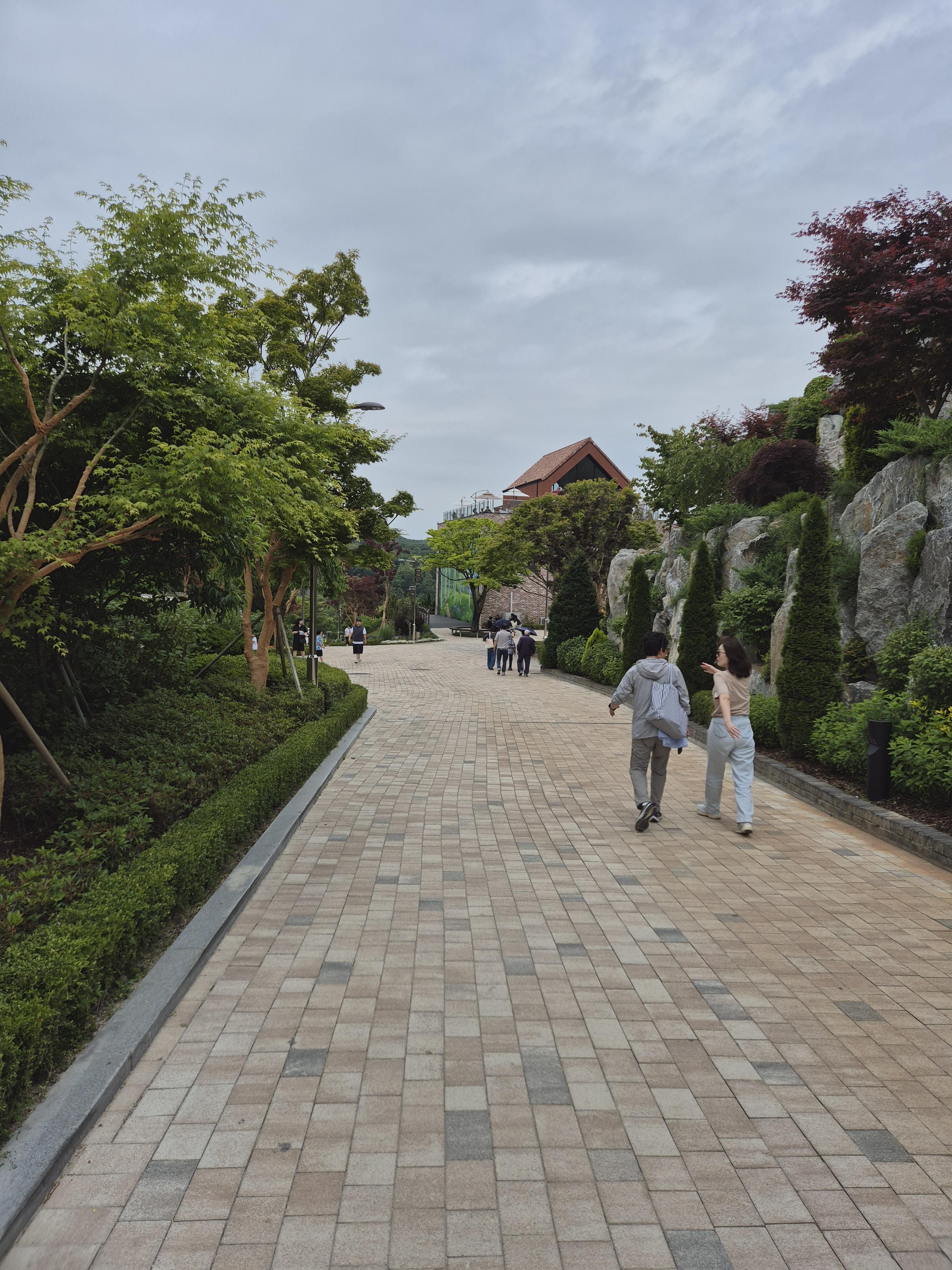 까사포레 가는길