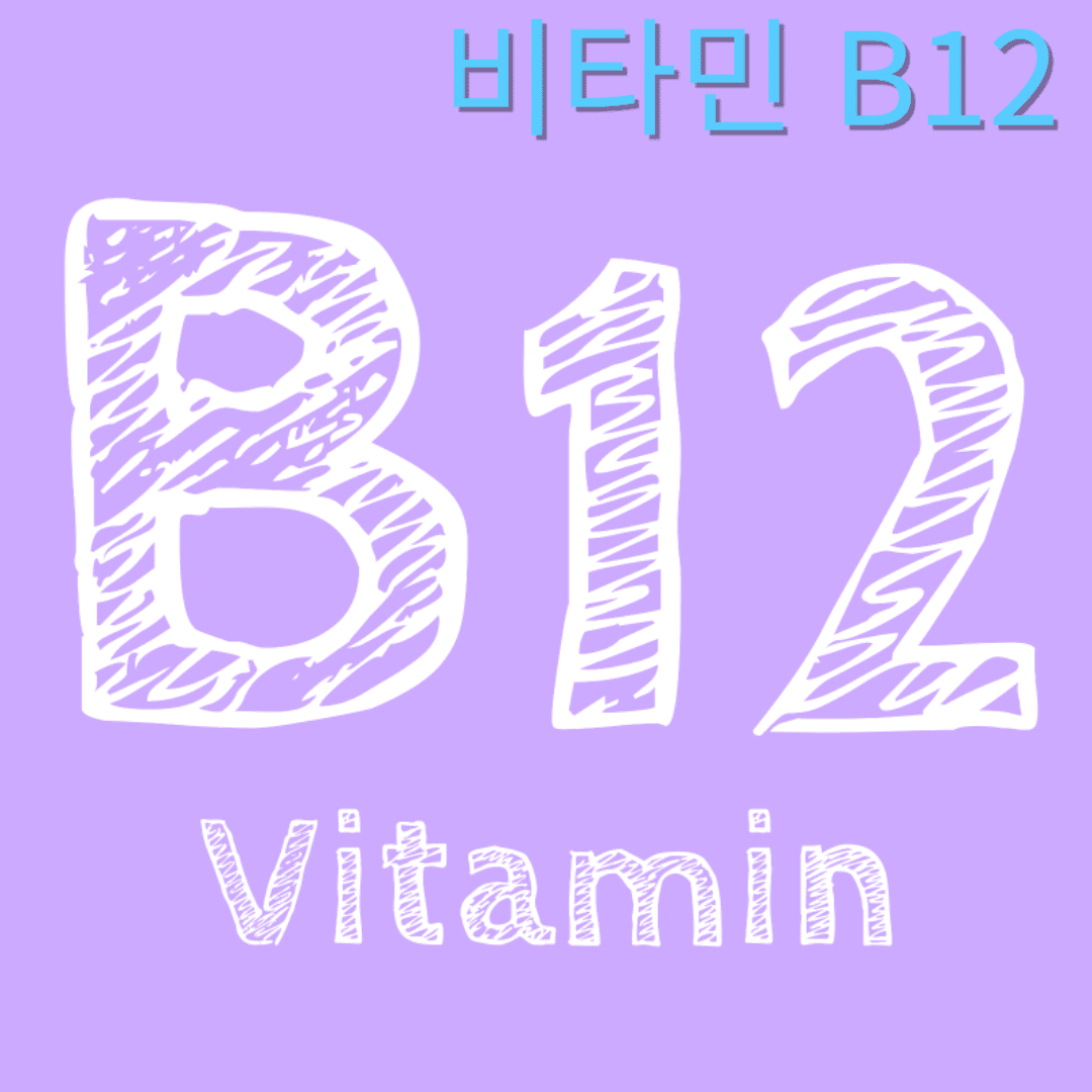 비타민 b12의 효능
