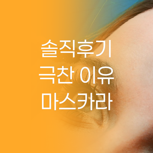 메이블린 마스카라, 왜 다들 극찬할까