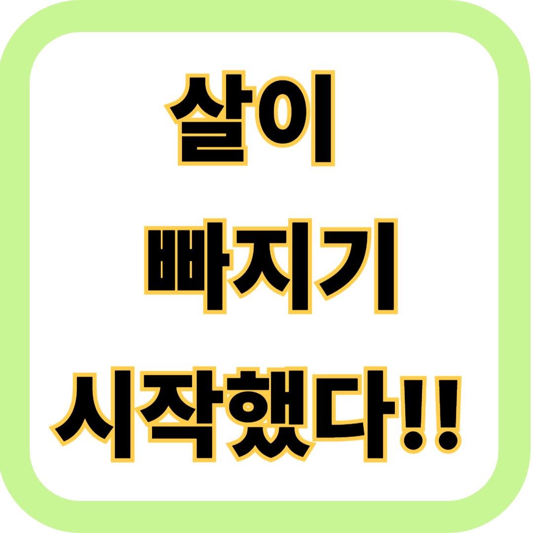 헬시 플레저
