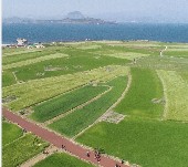 화성시 온누리 상품권 사용처 확인하기 관련 시간