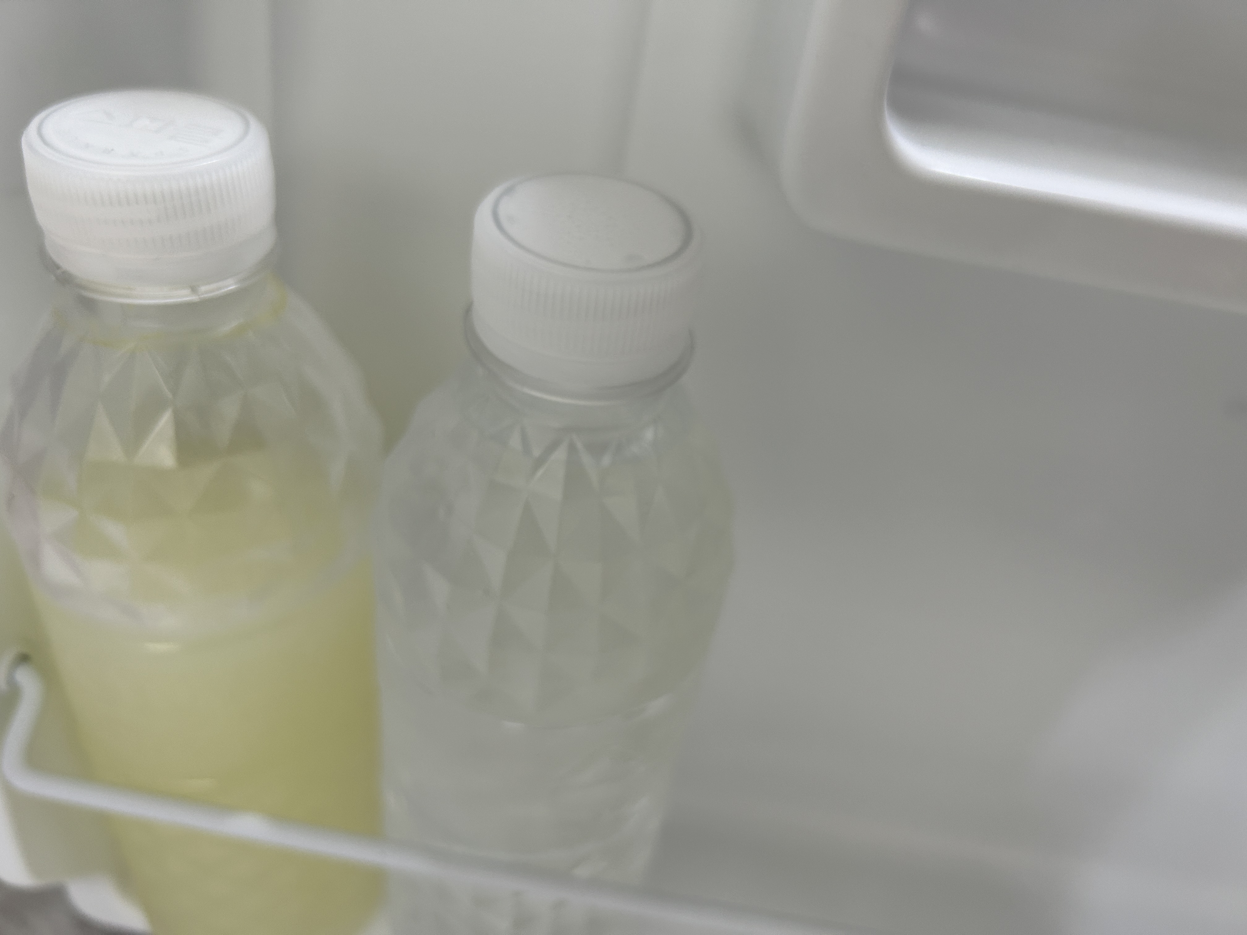 만성염증 영양제 추천 브라질산 그린 프로폴리스 원액 효능 효과 추천