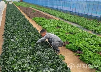 로컬푸드 출하 절차 등급 선별 라벨 위생 기준_17
