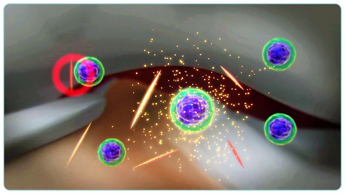 건강-고요산혈증-통풍-퓨린-작용