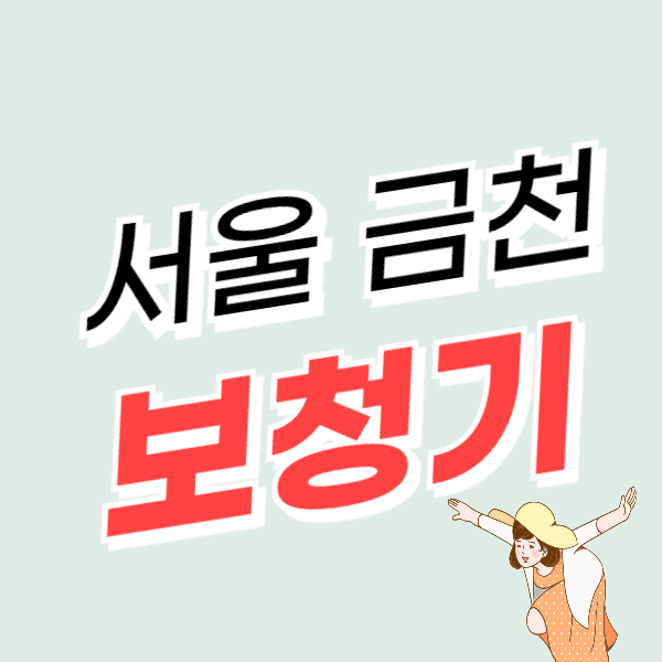 서울 금천구 보청기 가격 싼 곳 잘하는 센터 추천 지원금/할인 정보