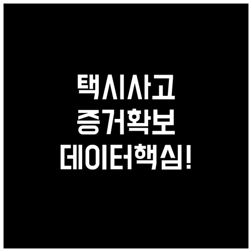 자율주행 택시 사고 증거 확보 데이터..