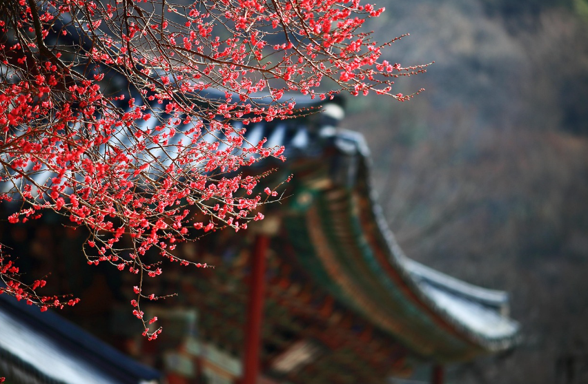 부여 궁남지·부소산성·정림사지, 아이와 함께하는 역사체험 여행기 관련 사진