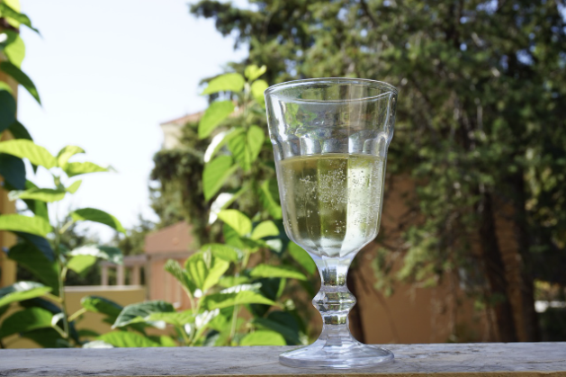 올해 떠나기 좋은 워킹홀리데이 국가