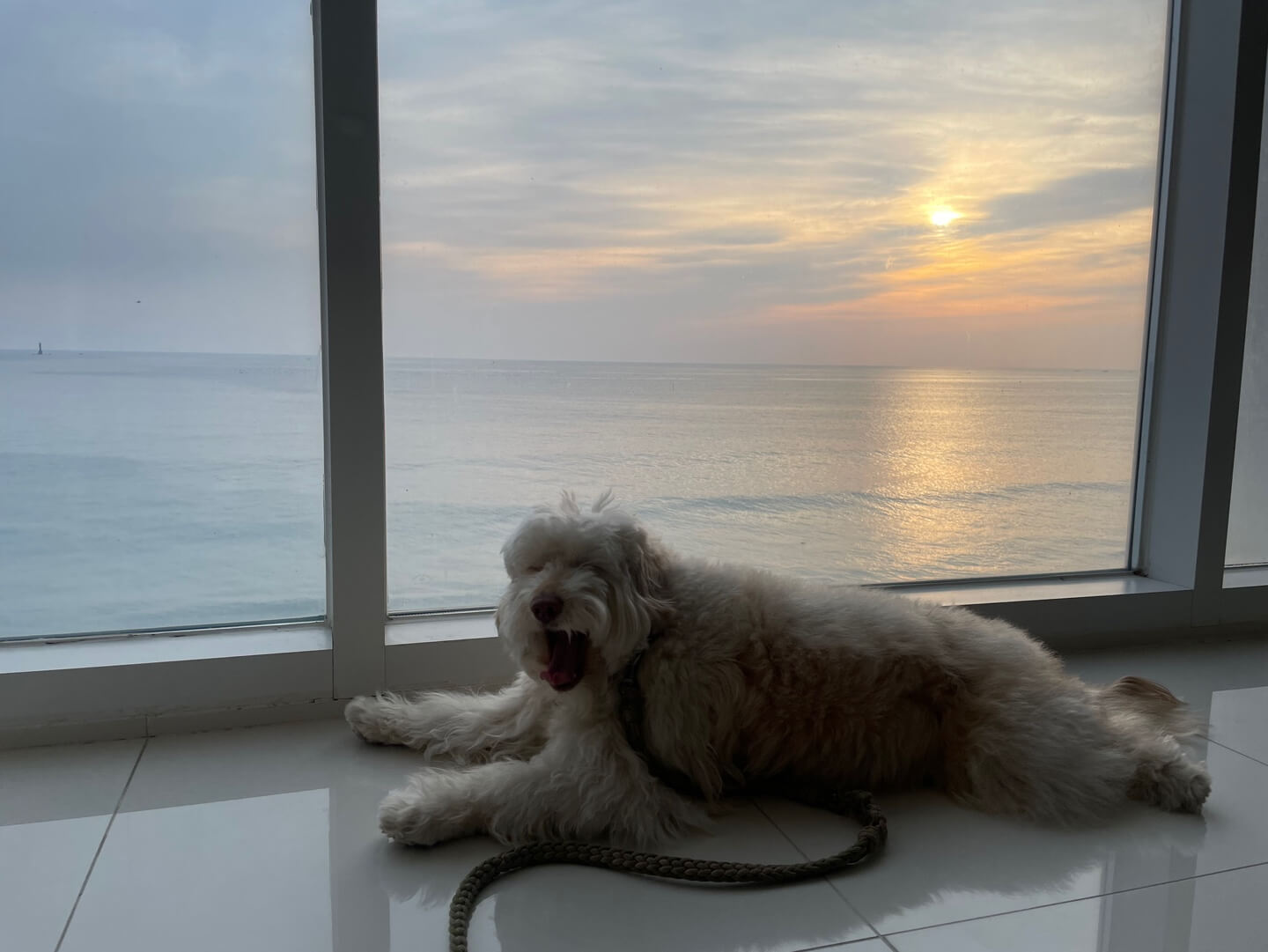 데이토나풀빌라