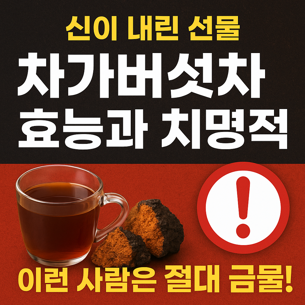 차가버섯차 효능