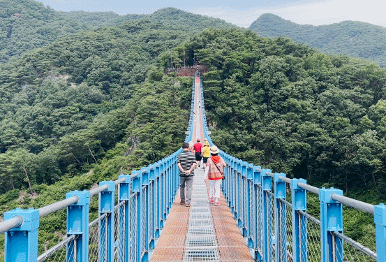 소금산 그랜드밸리 출렁다리 울렁다리