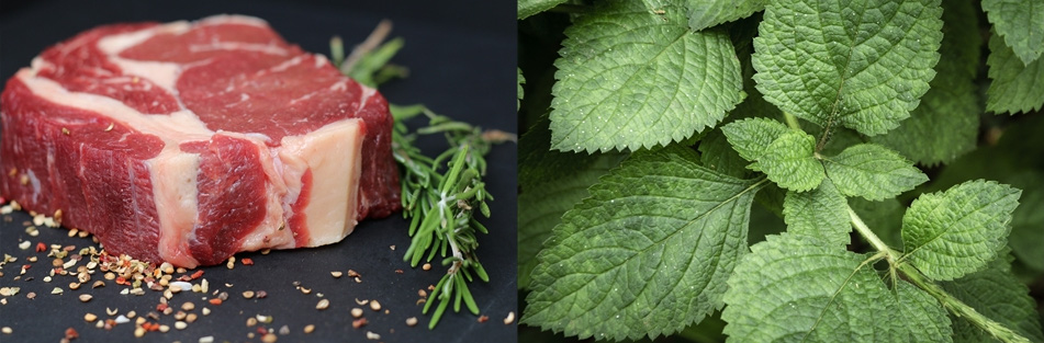왼쪽 사진은 소고기 등심을 검은 바닥에 두고 허브와 후추를 뿌려놓고 찍은 사진이고, 오른쪽은 야생에서 잘 자라고 있는 깨의 잎인 깻잎을 확대하여 찍은 사진