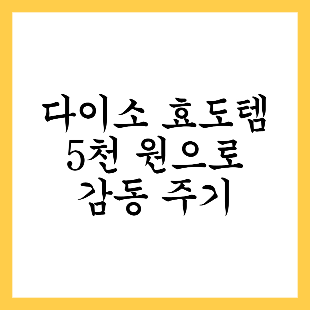 다이소 효도템