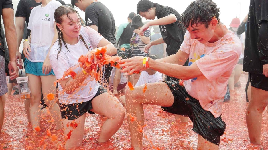 축제 일정 &amp; 운영 정보