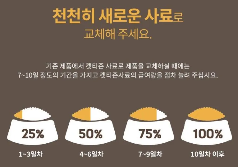 가성비-고양이-사료-교체-방법-안내