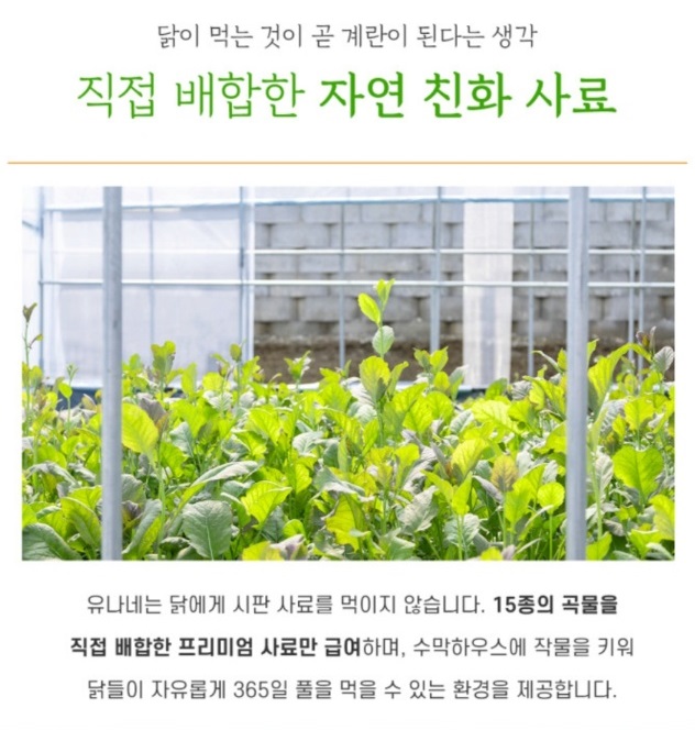 동네한바퀴-경기도-연천-유정란-유나네자연숲농장-달걀달인