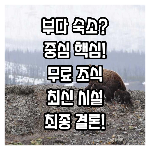 부다페스트 여행 완벽한 숙소 찾기 중..