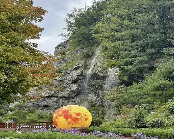 피나클랜드 오천만송이 국화축제_4