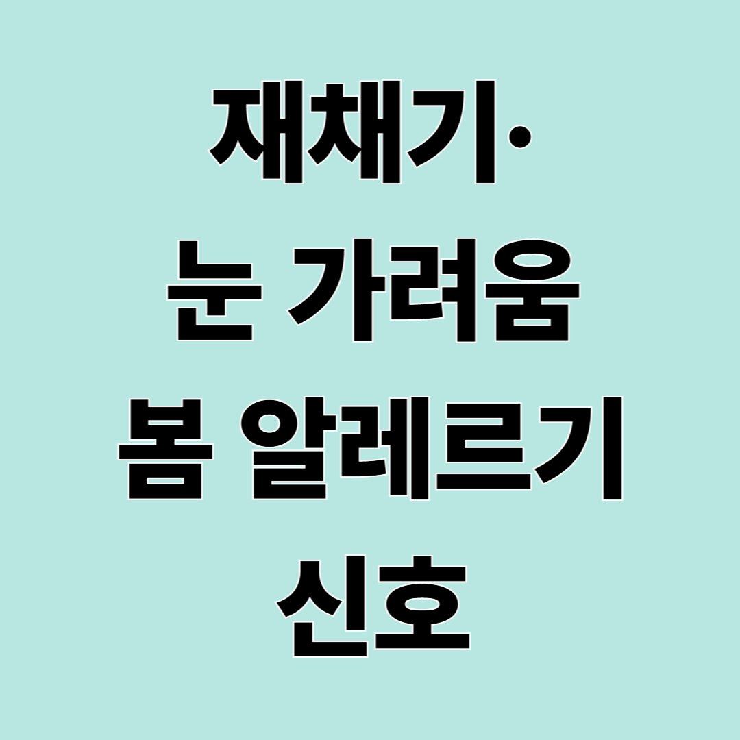 봄철 알레르기 증상 총정리 – 비염·눈 가려움·피부 간지러움