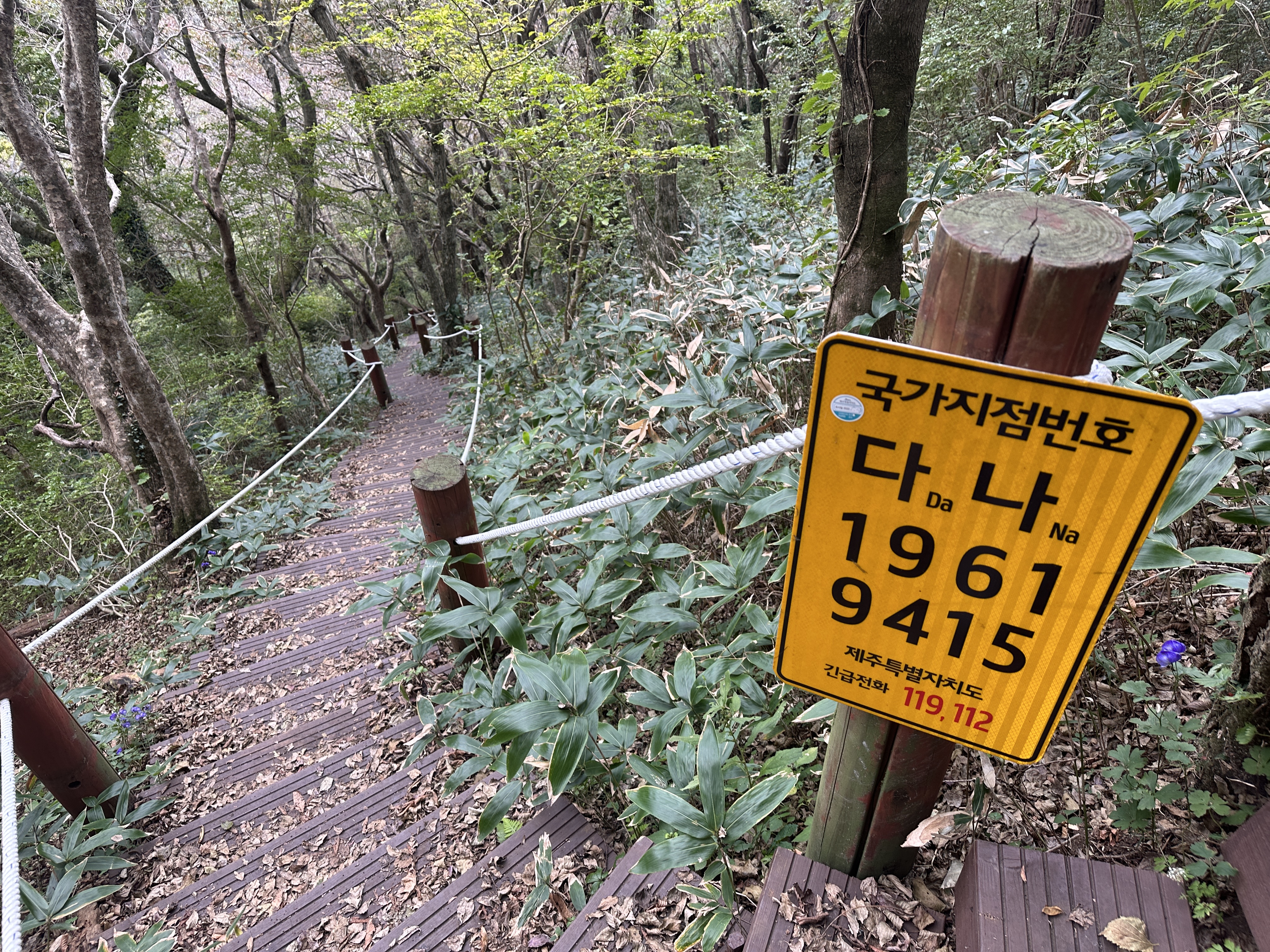 봉개동 민오름 정상