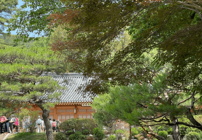 청와대 개방 예약 신청 방법