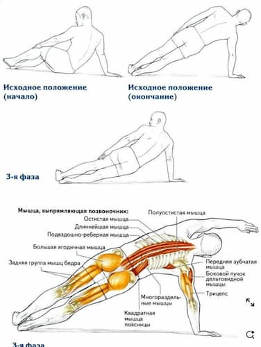 사이드 밴드(Side Bend)