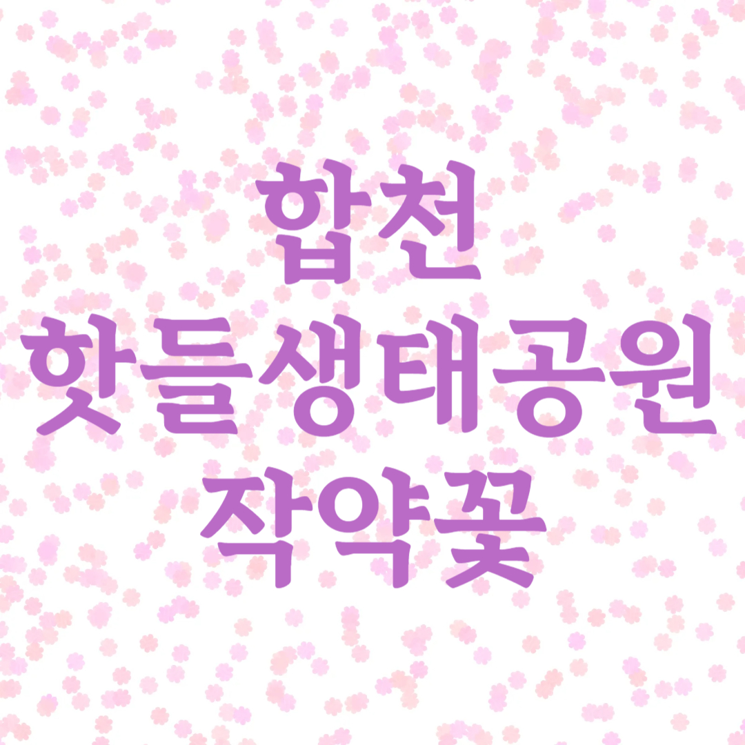 합천 핫들생태공원 작약꽃