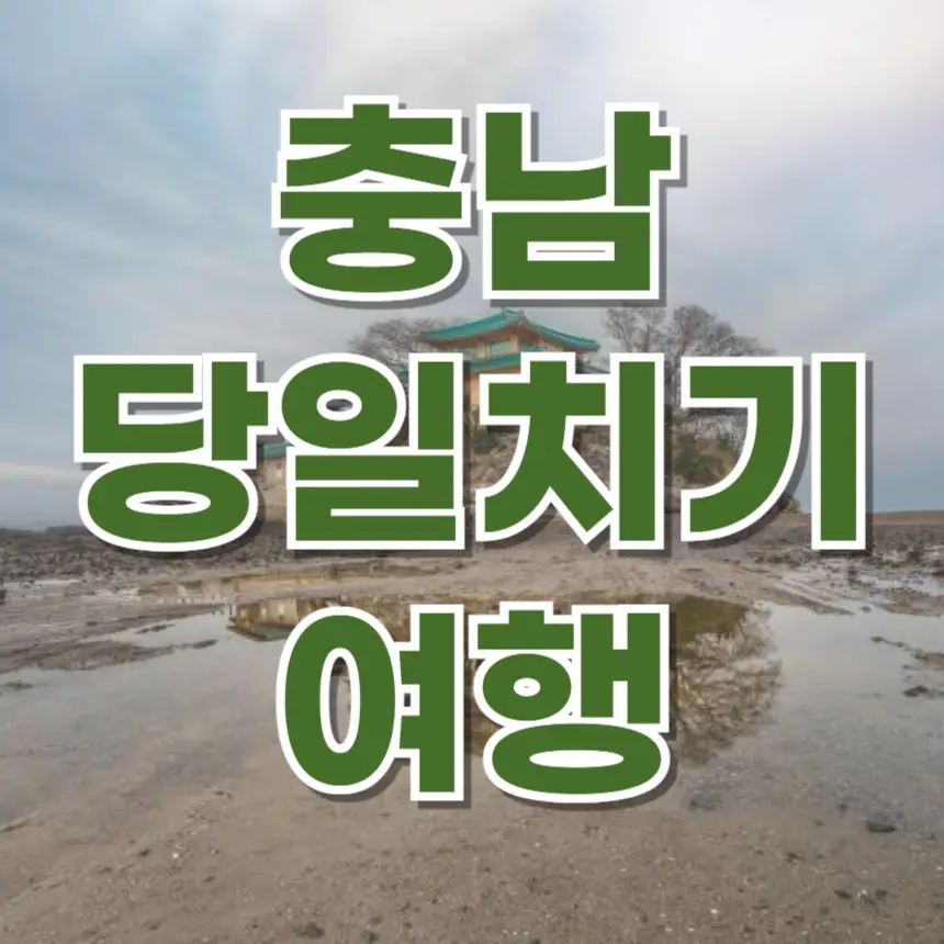 태안 서산 예산 덕산 당진 충남 여행 당일치기