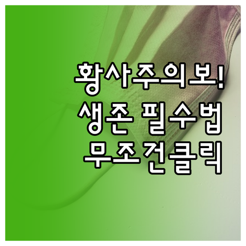 황사 예보 시 필수 체크리스트와 실내..